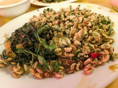 薄壳-桂园白粥·潮汕老味道
