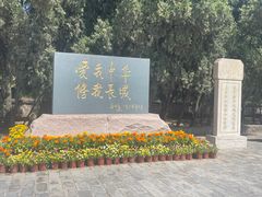 -老龙头景区
