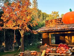 -HERRE·FARM 赫尔露营农场·团建聚会包场