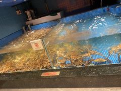 -东海怡品海鲜豆捞(星街坊店)