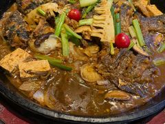 -老板恋上鱼(高新万达店)