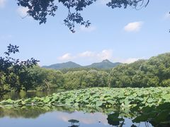 -四明山国家森林公园