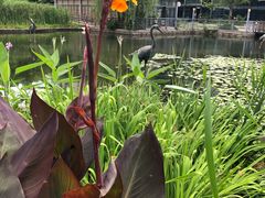 -苏州河梦清园环保主题公园