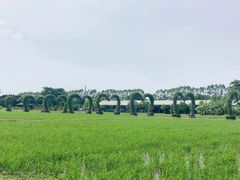 -迪茵湖田家舍生态农场
