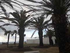 -Cafe Aewol Monsant