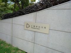 -上海中心大厦