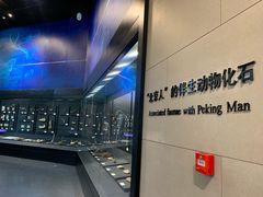 -北京周口店北京人遗址博物馆