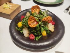 -蝶舍·MAISON PAPILLON