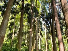 -青城山