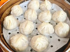 鲜肉小笼-大龙汤包