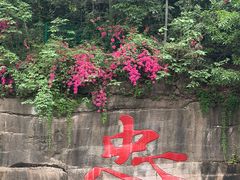-忠山公园