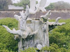 -北海金海湾红树林生态旅游区