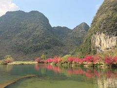 -靖西鹅泉风景区