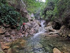 -南海湾森林生态园