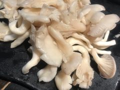 平菇-怡品川宇火锅(宝立方店)