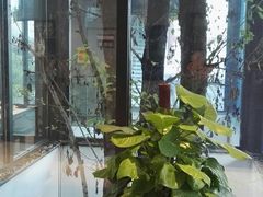 -禅驿嘉定院子-禅欢江景餐厅·中餐·户外烧烤定制(乐山大佛店)