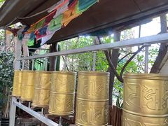 -月亮眼花园餐厅书吧酒吧