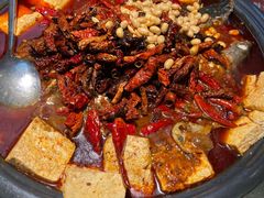 重庆豆花烤鱼-探鱼·鲜青椒爽麻烤鱼(朝阳悠唐广场店)