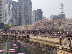 -西北湖绿化广场