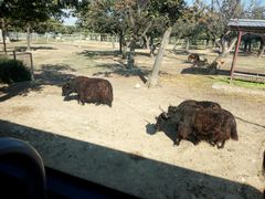 -西安秦岭野生动物园