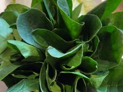 -南门四季铜锅涮肉(大屯·北苑店)