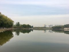 -大兴滨河森林公园