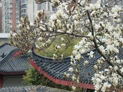 -堤角公园