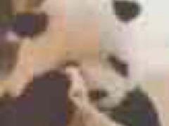 -川锅一号火锅(睢宁店)