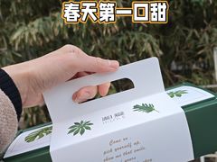 -梧桐