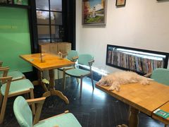大堂-猫色咖啡·猫咖