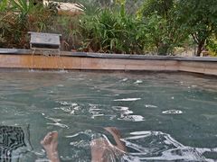 -咸宁万豪温泉谷度假区