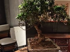-望京辣宴·古法川菜(望京店)