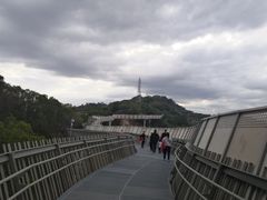 -福道
