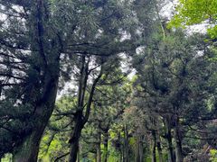 -南岳衡山风景名胜区