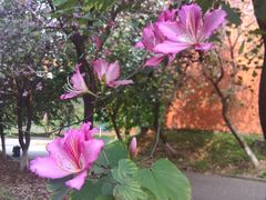 -华南师范大学(广州大学城校区)