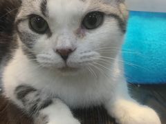 -乐宠宠物店(世纪金源店)