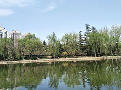 -团结湖公园