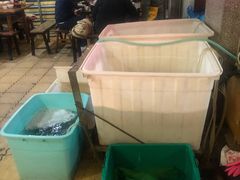 -金海椒罐罐鲢鱼(东方桂苑店)