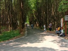-同里国家湿地公园