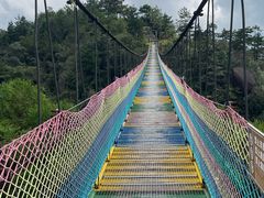 -玉苍山国家森林公园