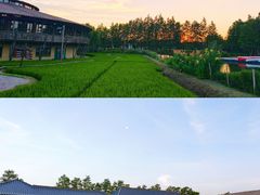 -乌村