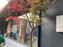 -北京国子监胡同