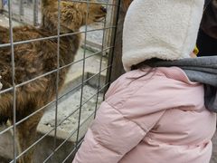 -前小桔亲子创意农场·草莓采摘·露营烧烤