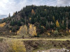 -芦芽山旅游度假区