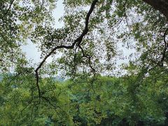 -东湖磨山景区