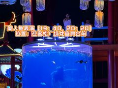 -合肥融创乐园