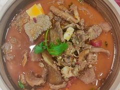 -洞庭家宴·头牌甲鱼(广渠门店)