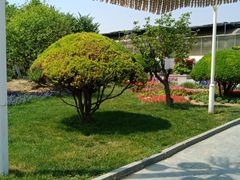 -石家庄市植物园