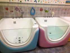 -蜜儿堂鼻炎·儿推·游泳(龙华大浪店)