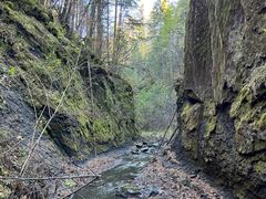 -峡谷浮石林景区